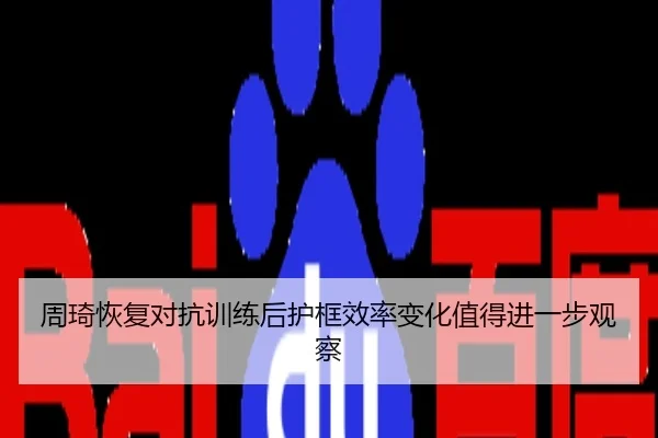 周琦恢复对抗训练后护框效率变化值得进一步观察